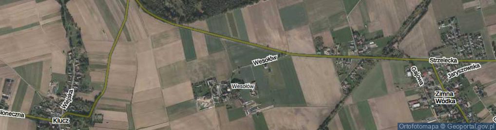 Zdjęcie satelitarne Wesołów ul.